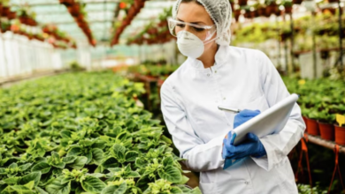 Photo of इन एग्जाम से चुनें फूड सेफ्टी की फील्ड में सुनहरा भविष्य