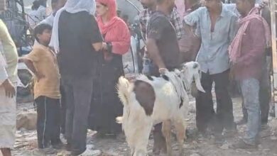 Photo of अवैध तरीके से पशुवश रोकने के लिए टीम गठित
